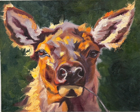 ‘Rainbow Elk’ Original