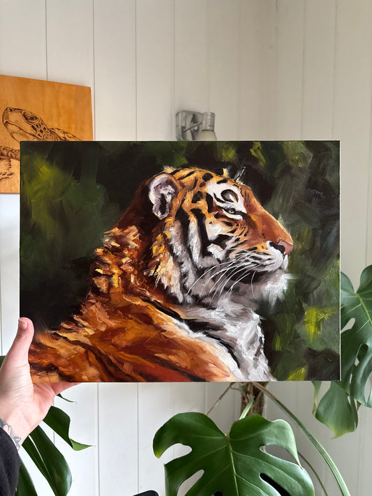 ‘Tiger Alla Prima Study’ Original