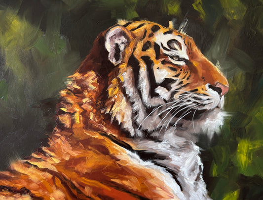 ‘Tiger Alla Prima Study’ Original